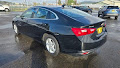 2023 Chevrolet Malibu FL